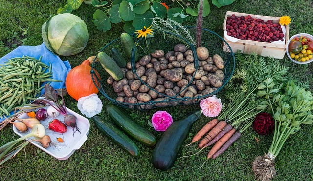 7 powodów, dla których warto uprawiać własny organiczny ogród warzywny